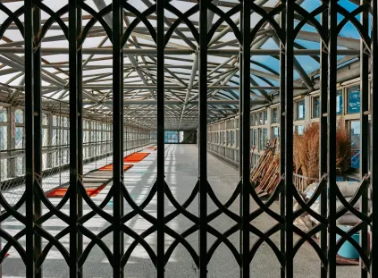 Paripesa Kasino Mobilná aplikácia